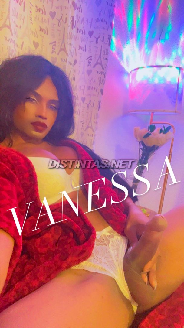 Vanessa 