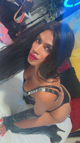 Vanessa 
