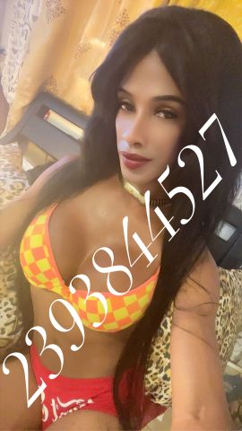 Vanessa 