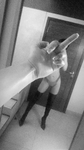 Majito Trans