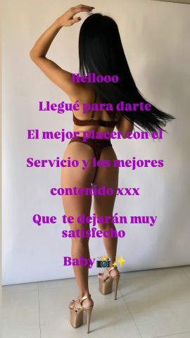 Majito Trans