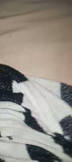 22CM REINE DU SEXE