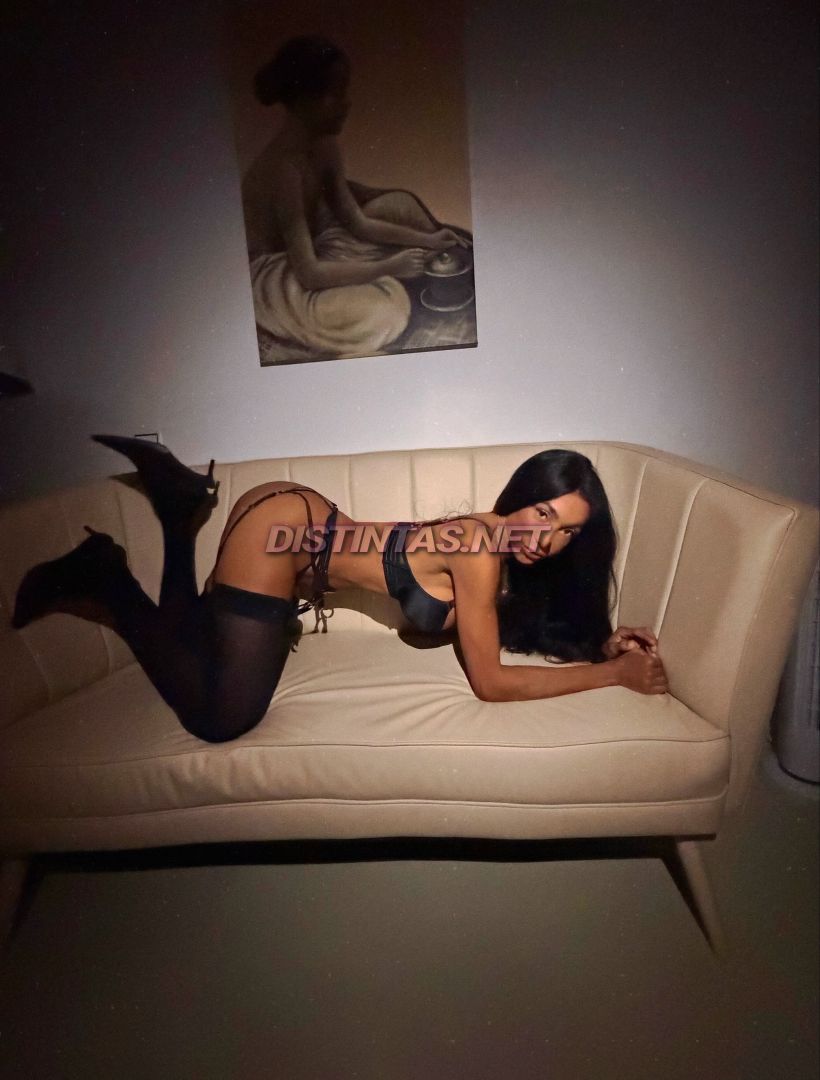 Samy leão 