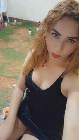 Xamer