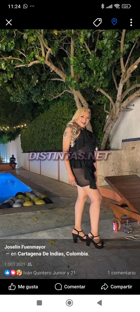 La indomable Joselin