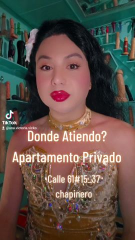 Ana Victoria Vicko