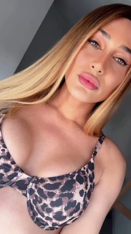 TS Bellatrix