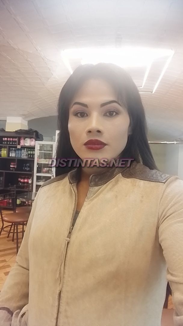 Estrella quito