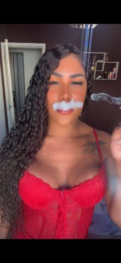 Ariely bastos