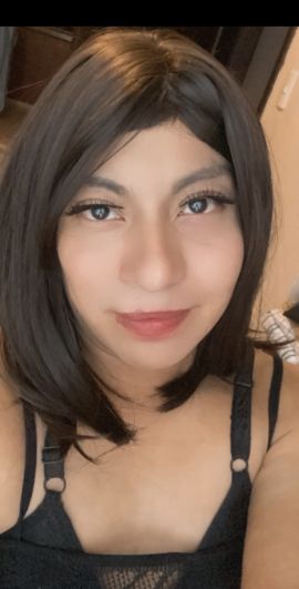 Dani