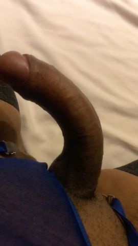Lucy trans belle