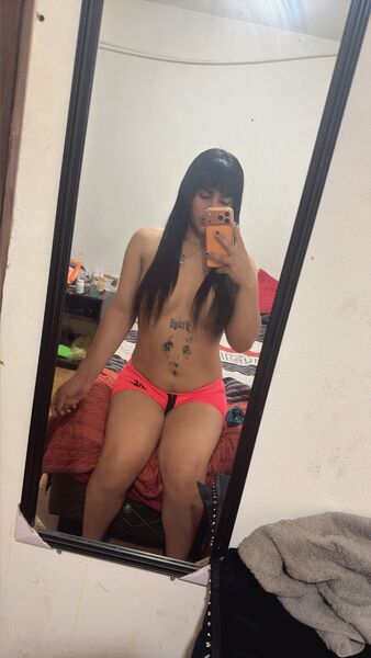 Putas Trans Georgina Todco en Calama