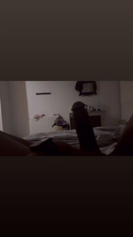 Trans Cara