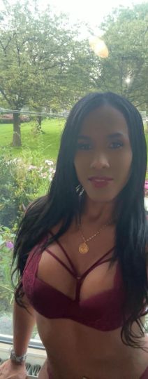 MORENITA TRANS