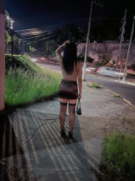 Kathy nocturna