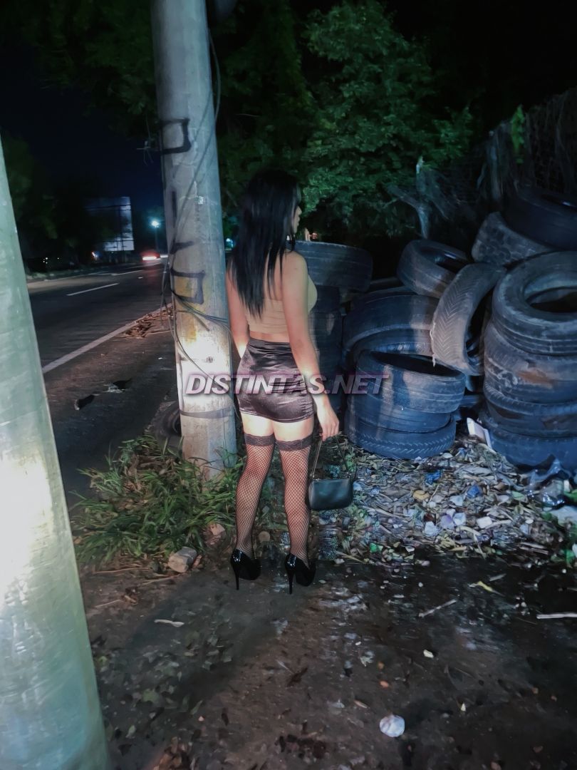 Kathy nocturna