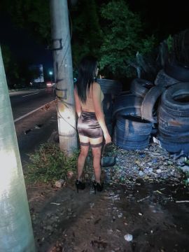 Kathy nocturna
