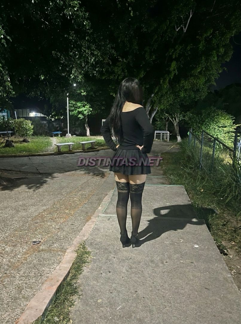Kathy nocturna