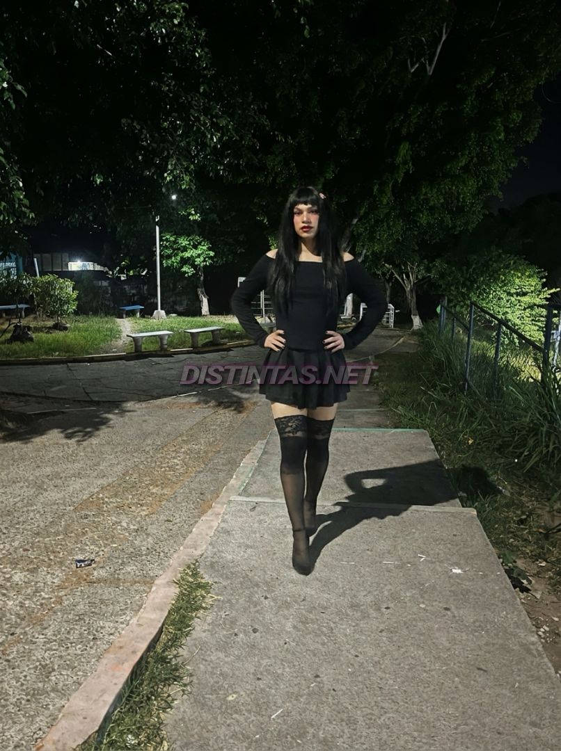 Kathy nocturna