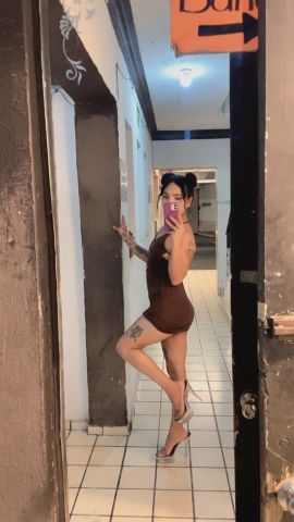 Panteraa