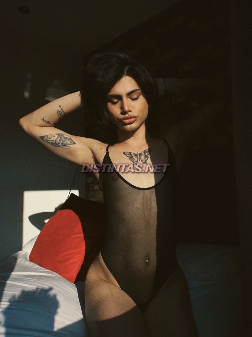 Pia donado