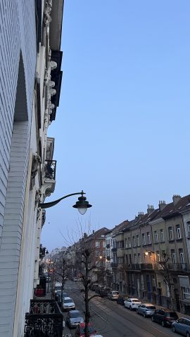 Pia donado