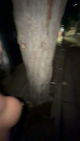 Alisson Montenegro 
