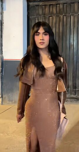 Fernanda top