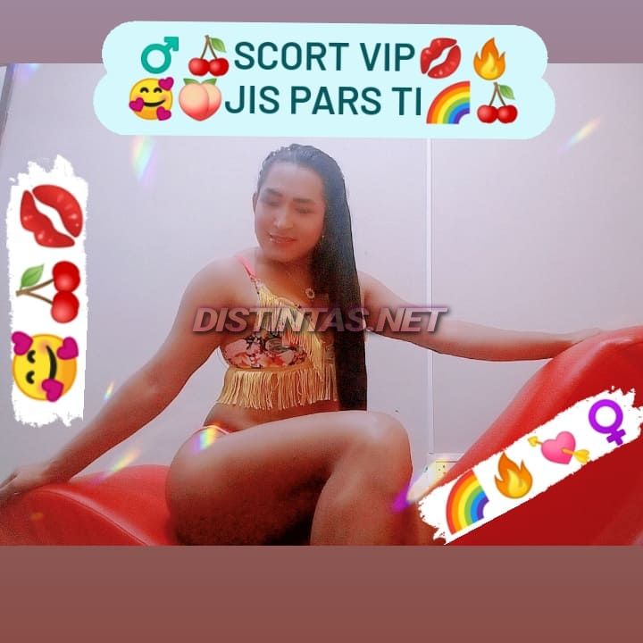 Jislayner Scort