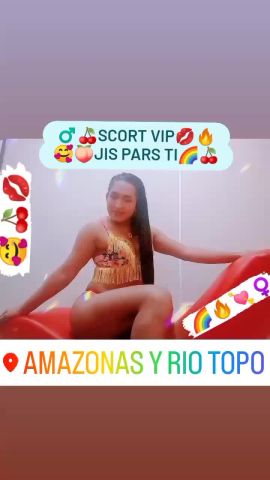 Jislayner Scort