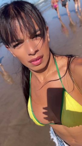 Leidy Trans 