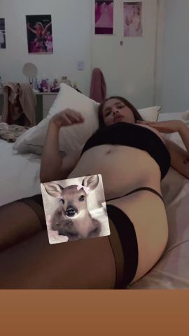 Bambi M