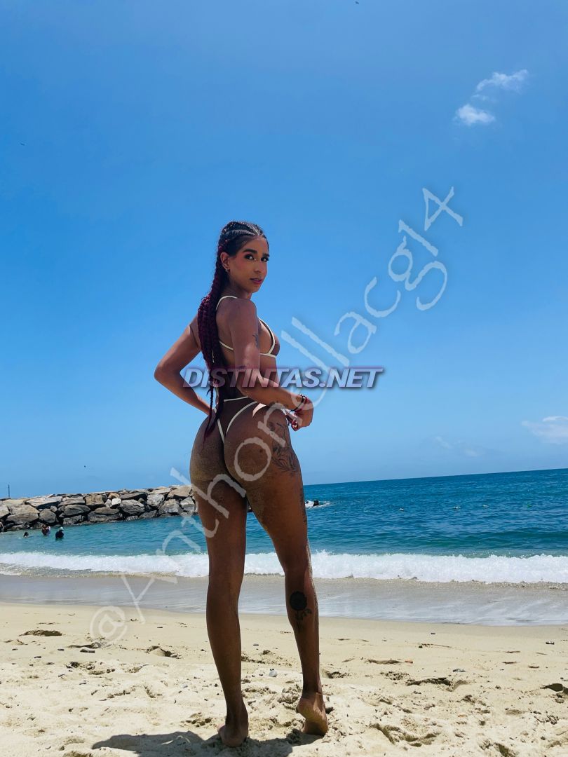 Anthonella C