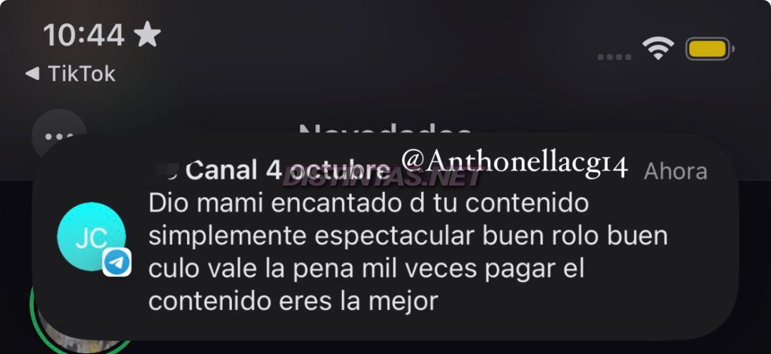 Anthonella C