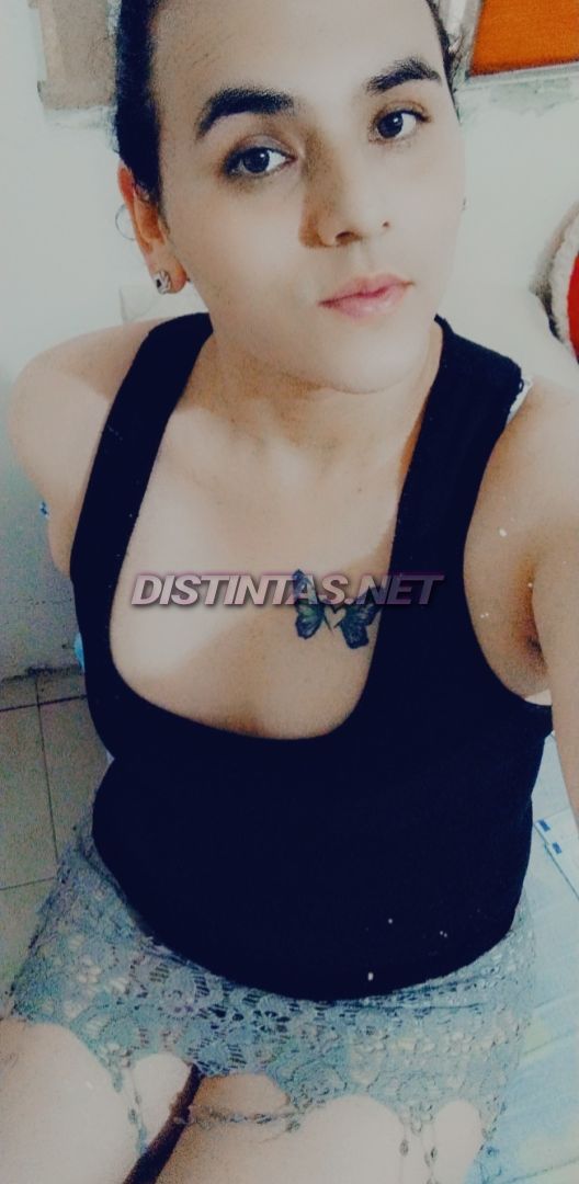 Sam Trans