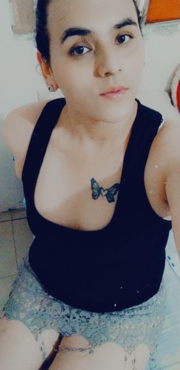 Sam Trans