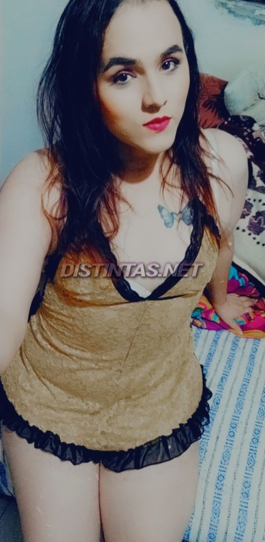 Sam Trans
