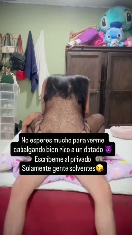 Estefany Morena