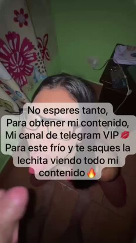 Estefany Morena
