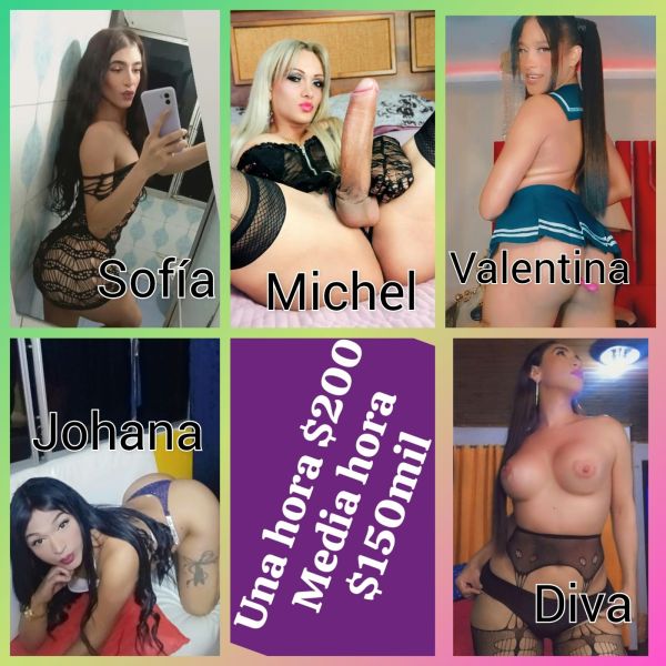 Escorts Trans CASA CELESTE TRAVESTIS en Cali