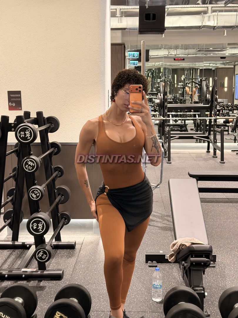 Lisa Model