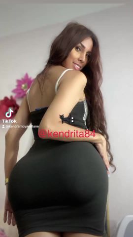 Misha tú Gatita