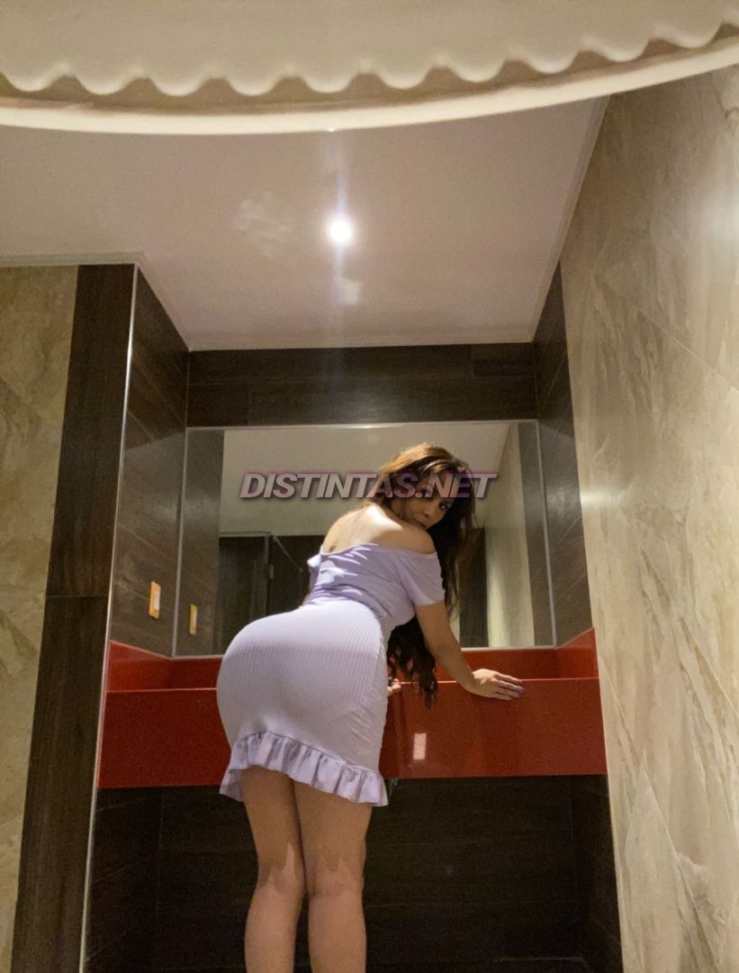 Misha tú Gatita