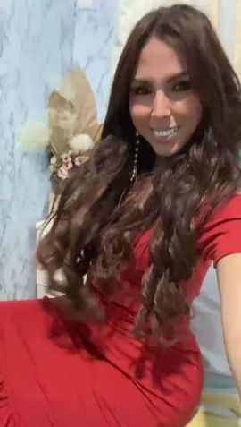 Misha tú Gatita