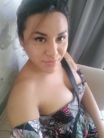 Trans Avi 