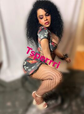 Perri Dominican