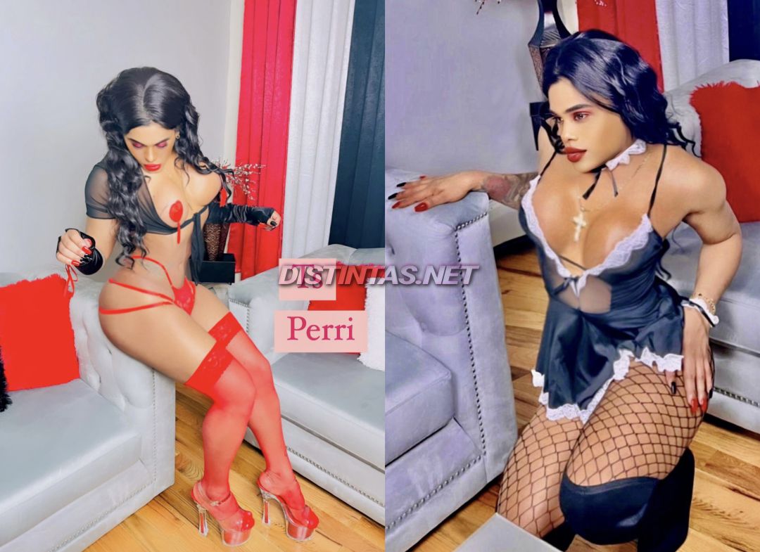 Perri Dominican