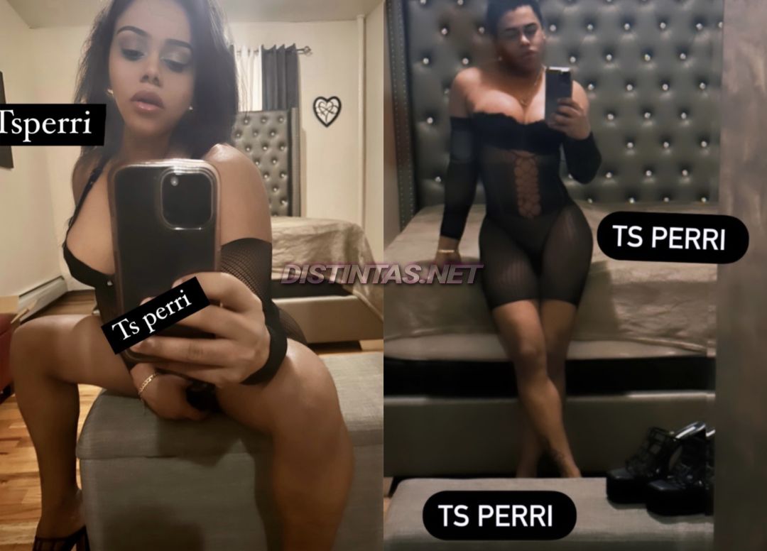 Perri Dominican