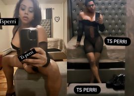 Perri Dominican