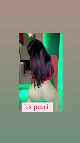 Perri Dominican